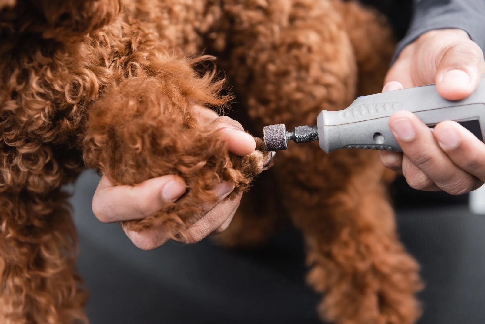 Nails being carefully clipped and smoothed with a grinder